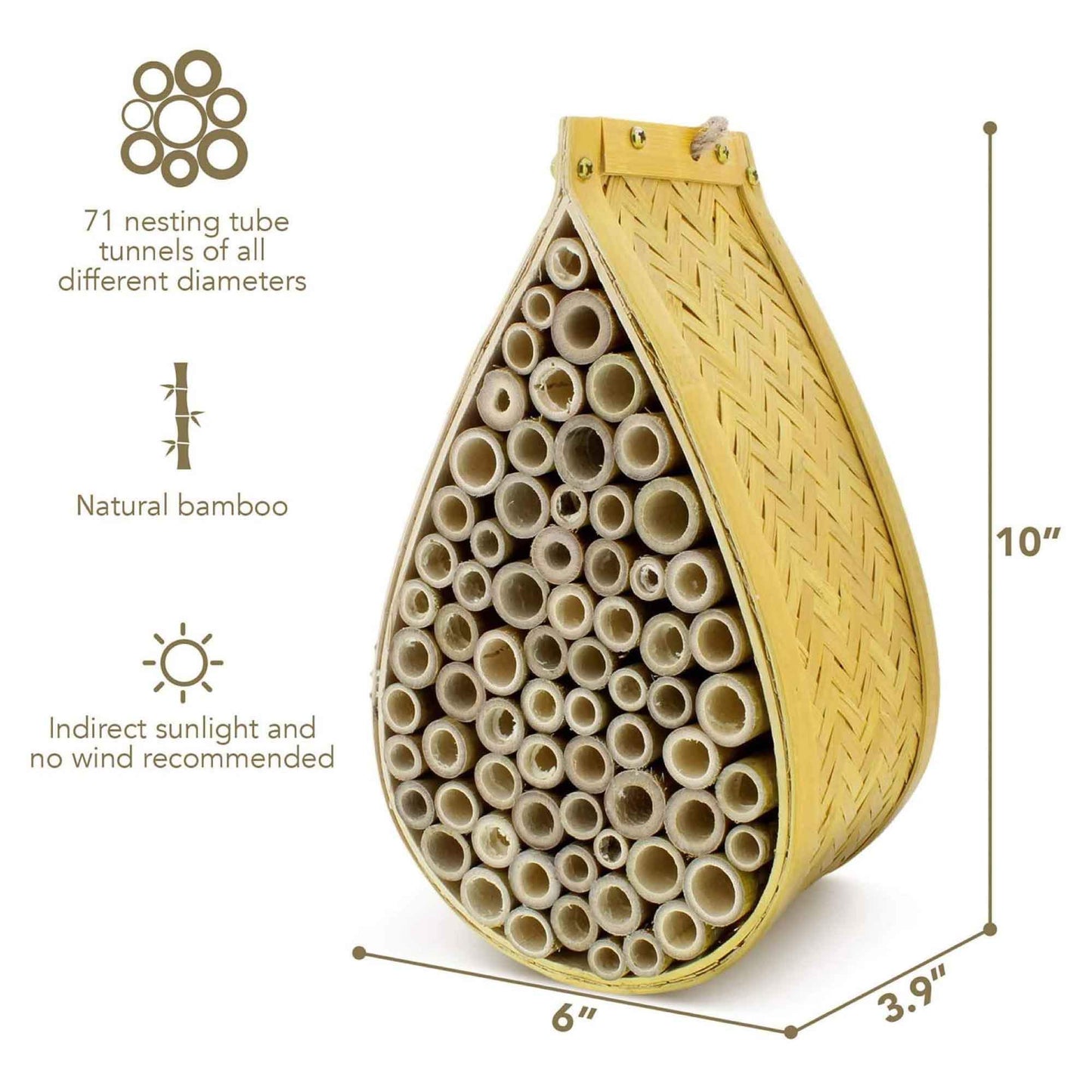 Mason Beehive House