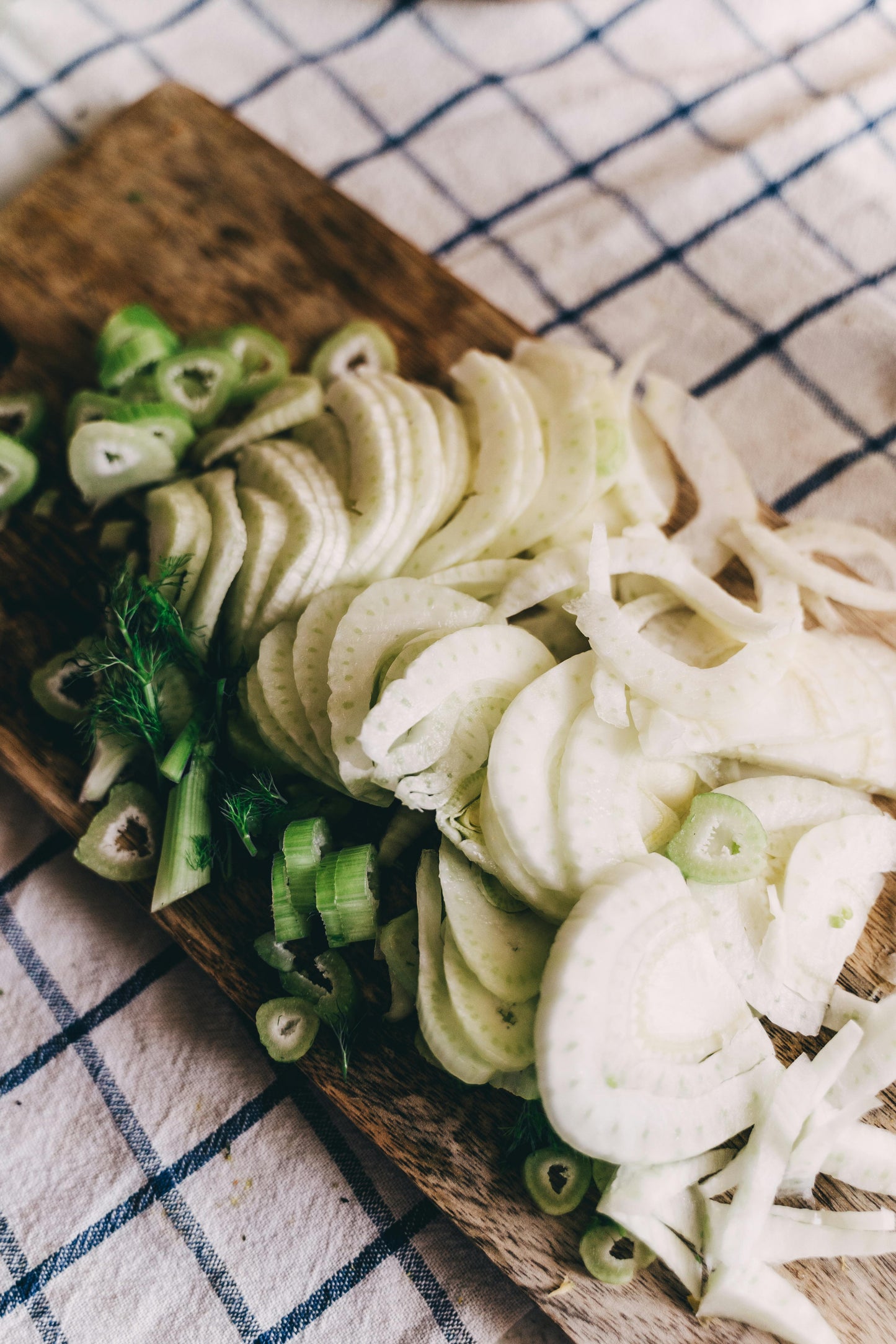 Fennel Finocchio