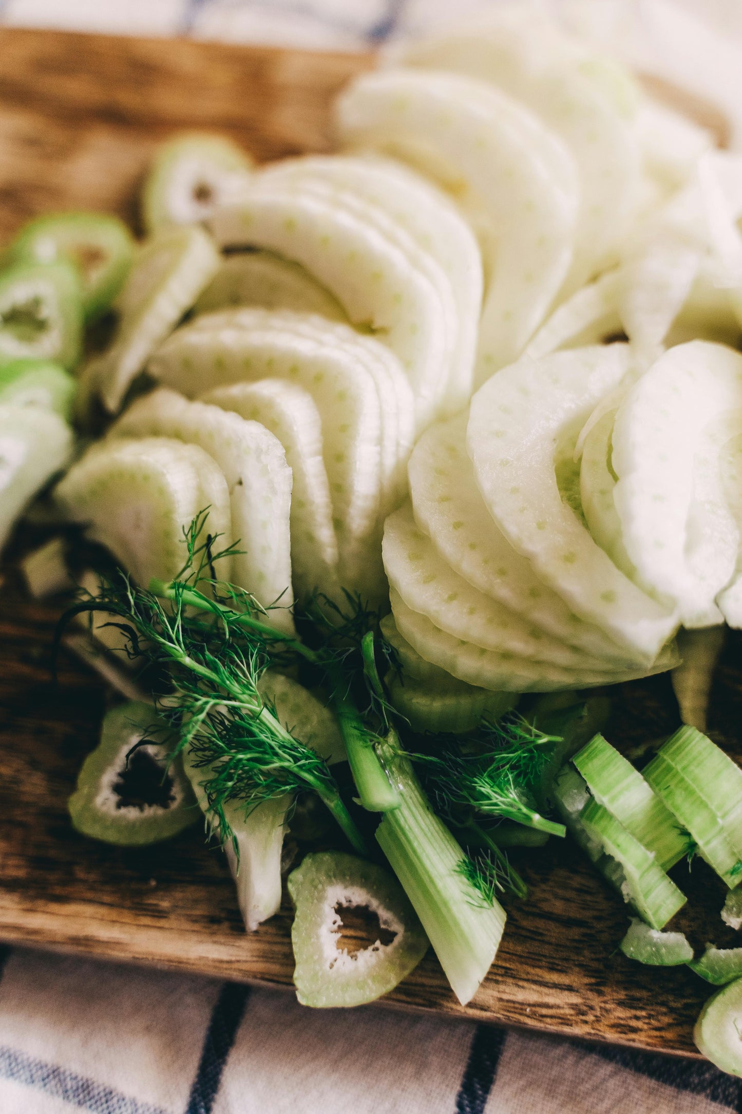 Fennel Finocchio