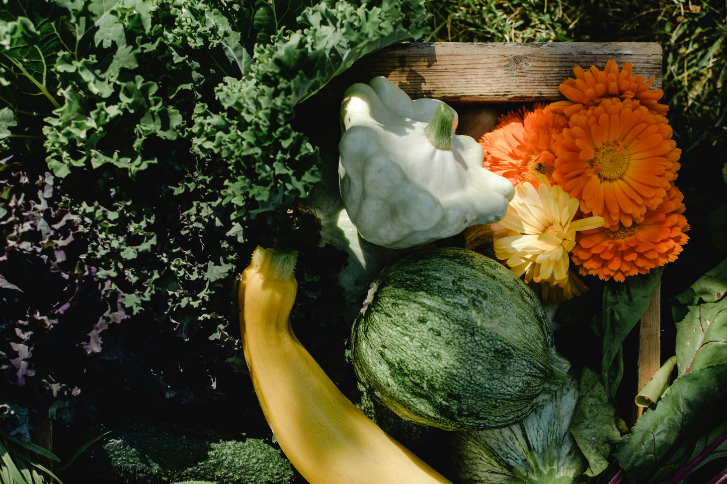 A Kitchen Garden: Seasonal Subscription
