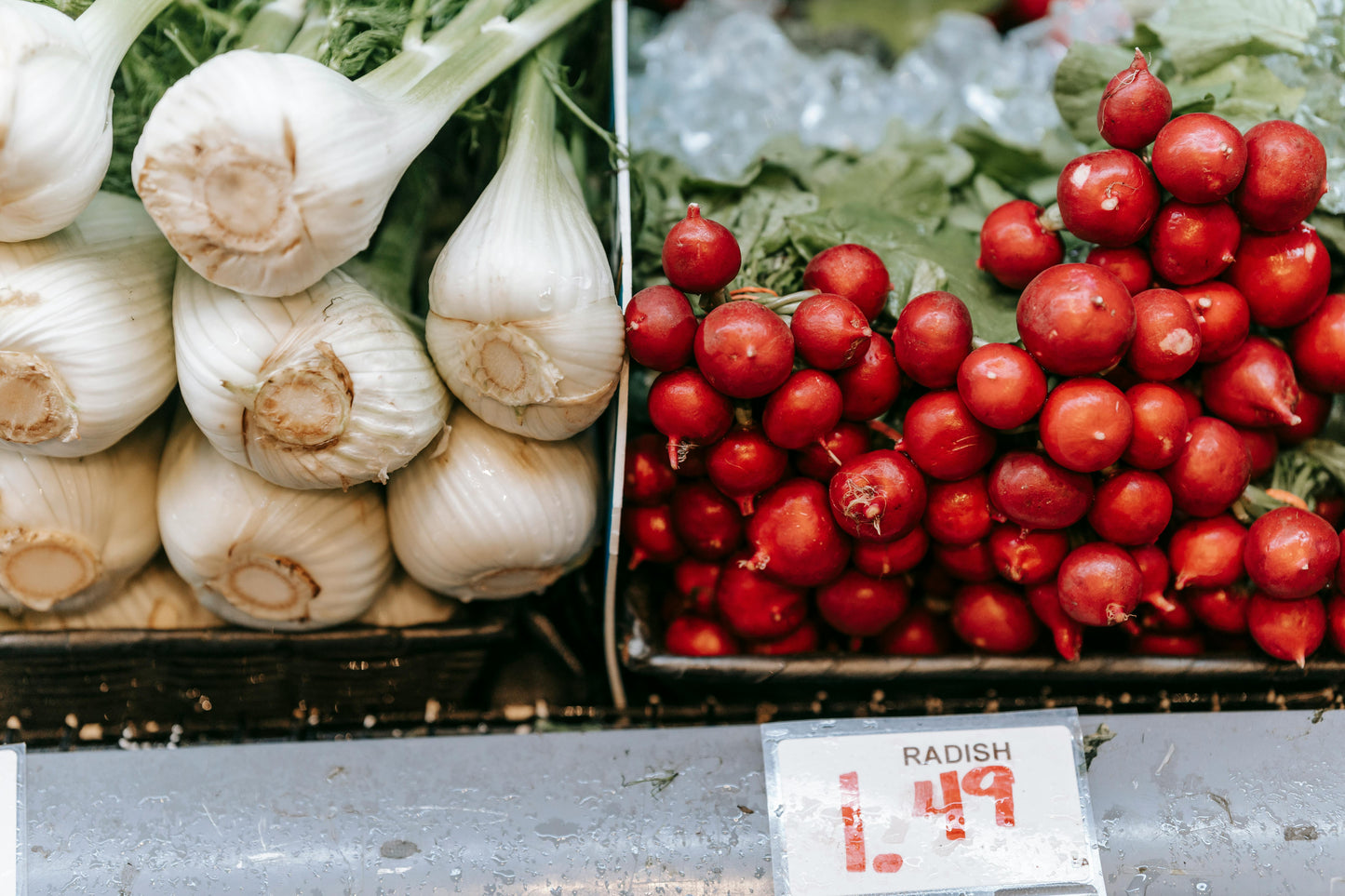 Fennel Finocchio