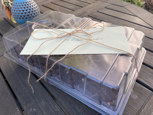 A Kitchen Garden Seed Kit: Spring Vegetables