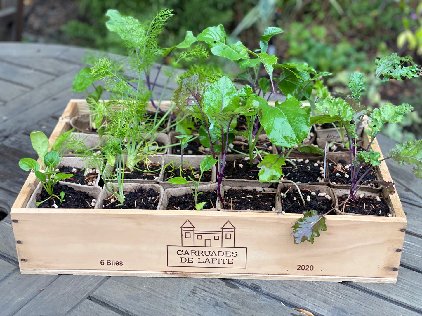 A Kitchen Garden Kit: Coastal Bay Area
