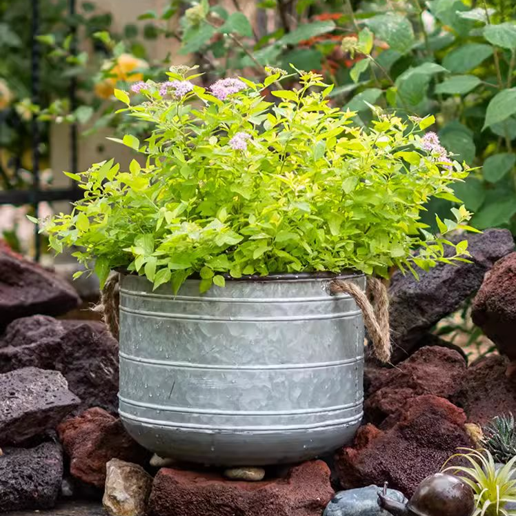 Restoration Iron Floral Bucket with Rope Handles