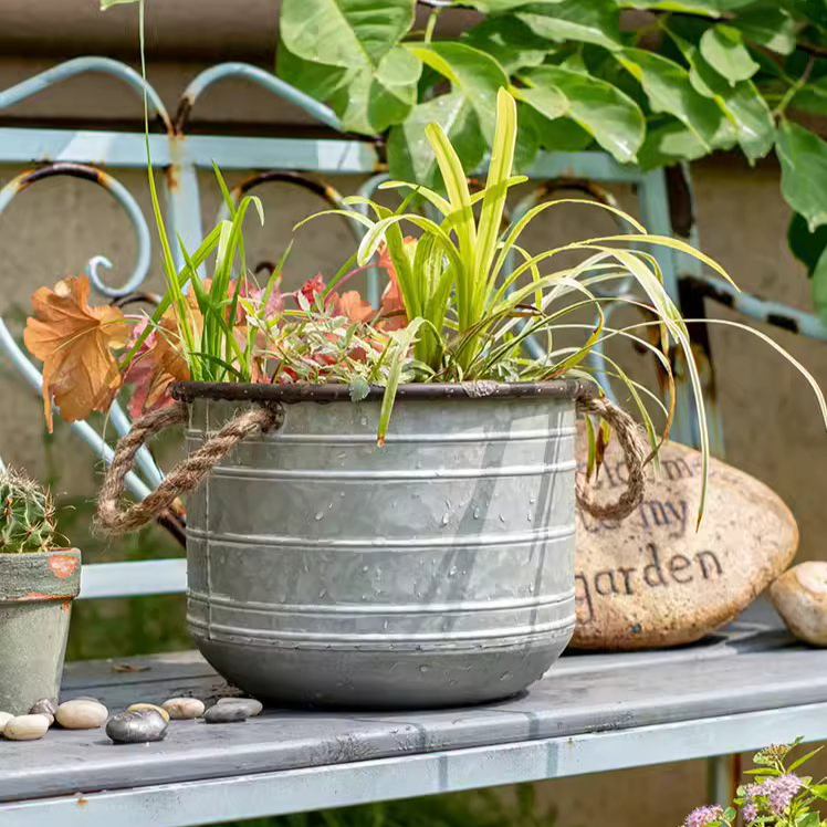 Restoration Iron Floral Bucket with Rope Handles