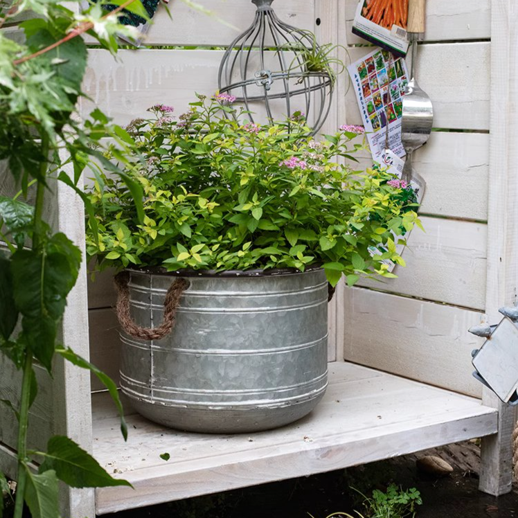 Restoration Iron Floral Bucket with Rope Handles
