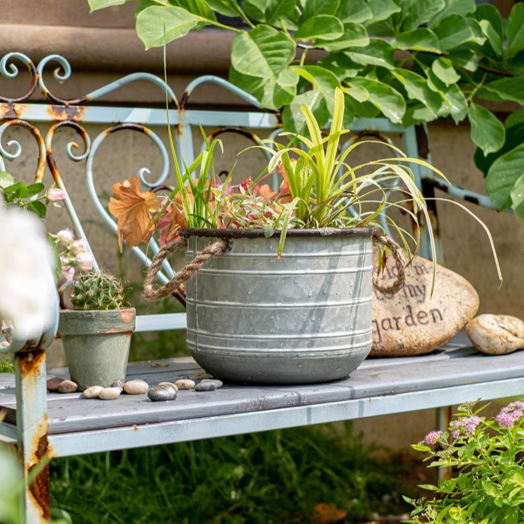 Restoration Iron Floral Bucket with Rope Handles