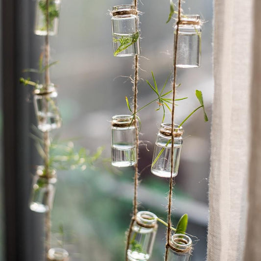 Glass Planter Rope Hanging Small Planter