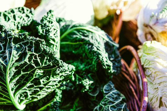 Cabbage Alcosa F1