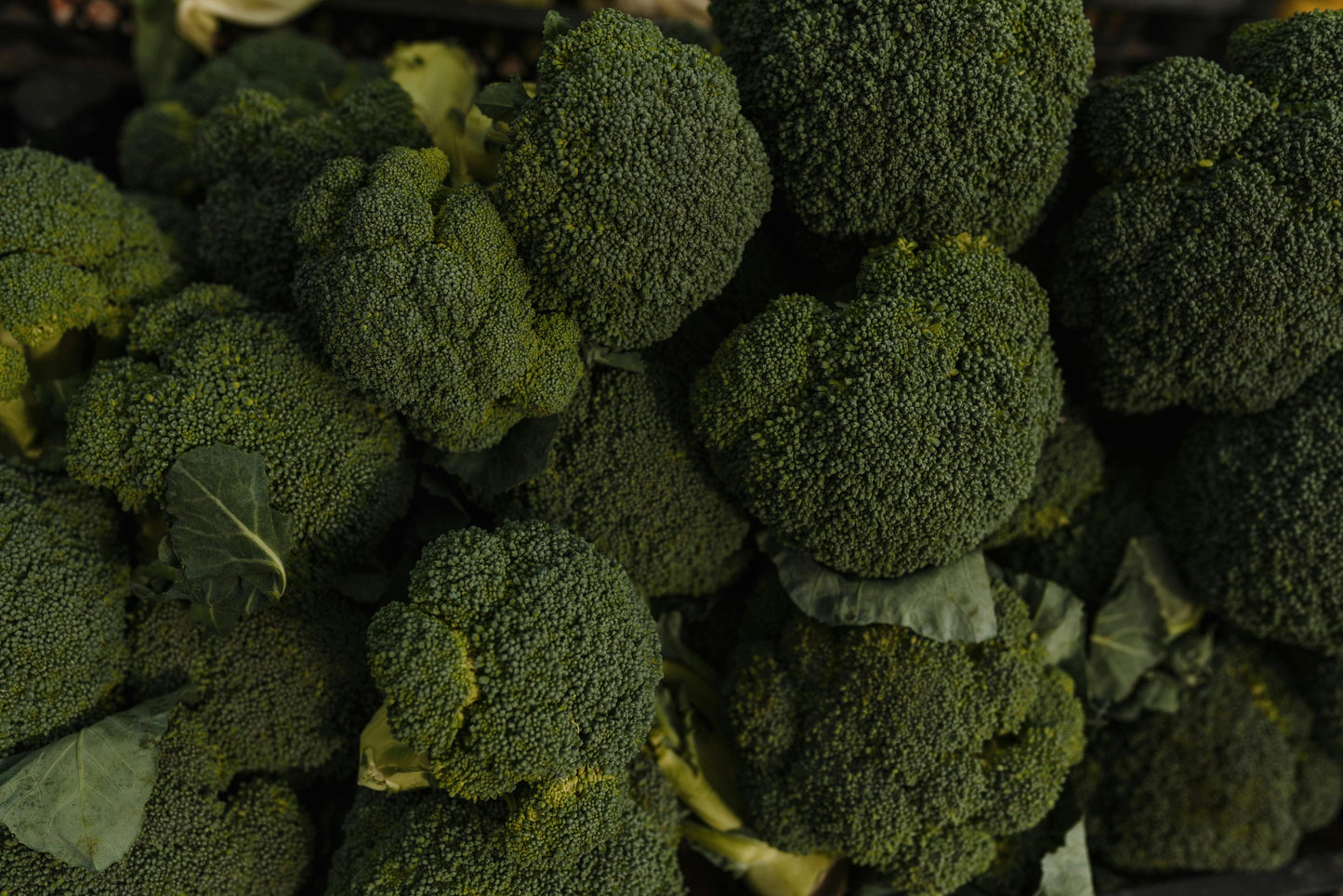 Broccoli Di Cicco