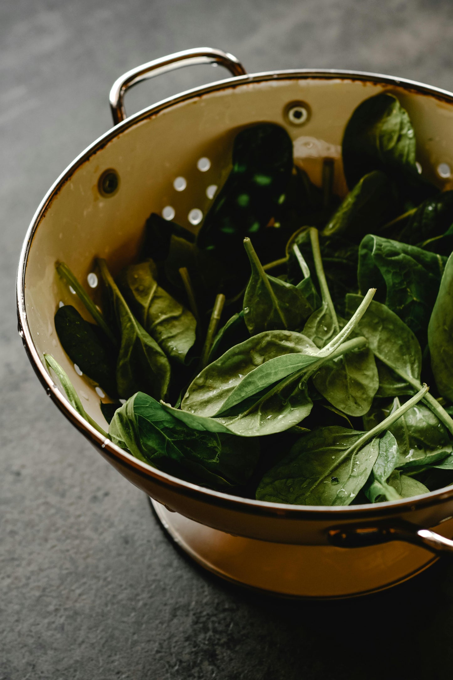 Spinach Bloomsdale Savoy