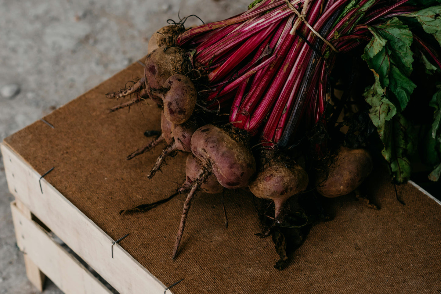 Red Beets Early Wonder Tall Top