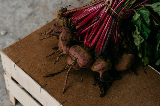 Red Beets Early Wonder Tall Top