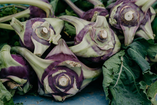 Kohlrabi Delicacy Purple